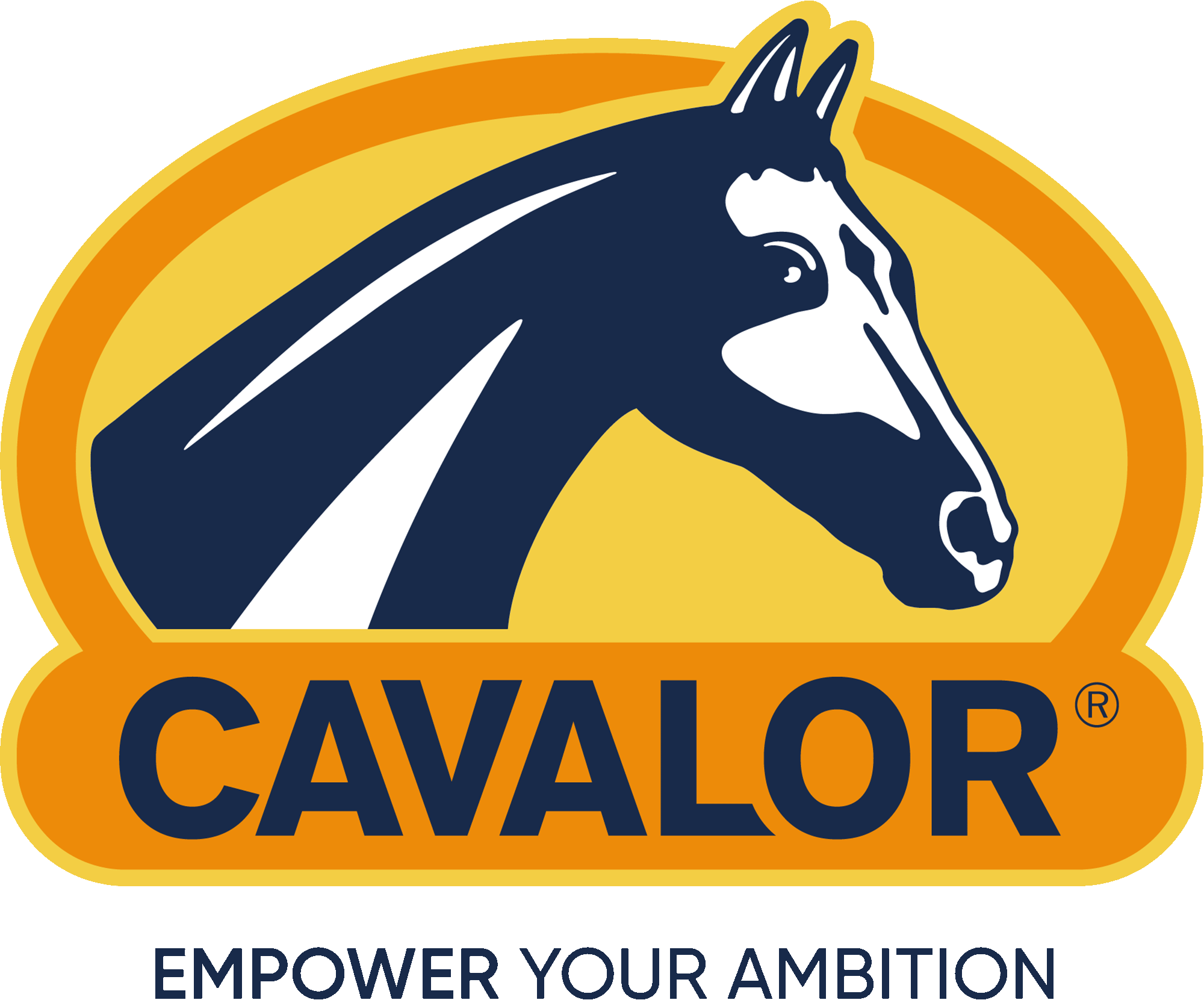 Logos | Cavalor Marketing